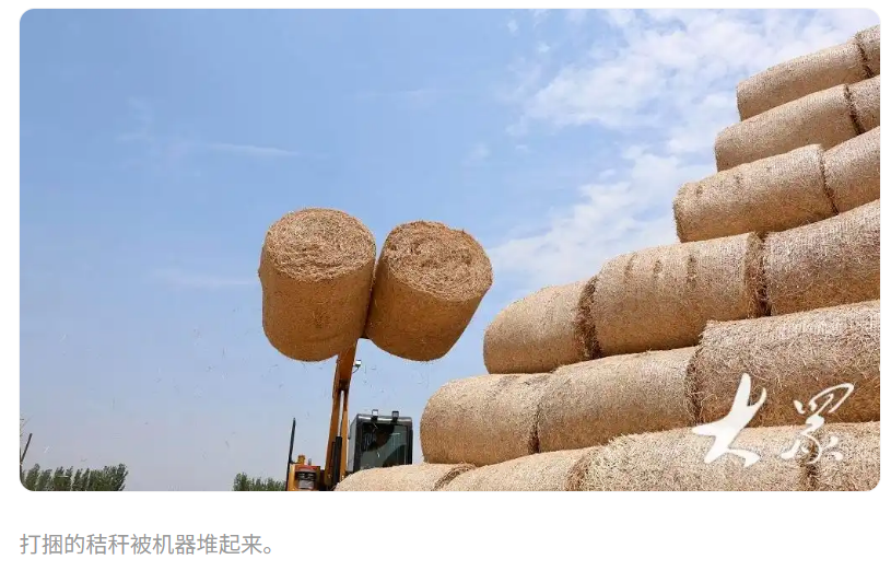 生物質(zhì)秸稈打捆.png
